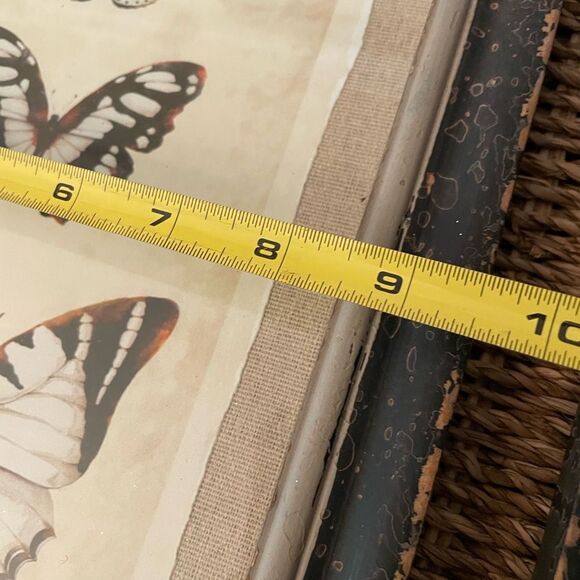 Creative Co-Op Distressed Antique Look Set of 4 Butterfly-Insect Framed Art - Picture 8 of 15